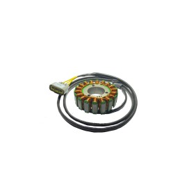 AODES / UPMOTO 650/850/1000/1000 MUD PRO Generatoriaus apvijos 21170103101