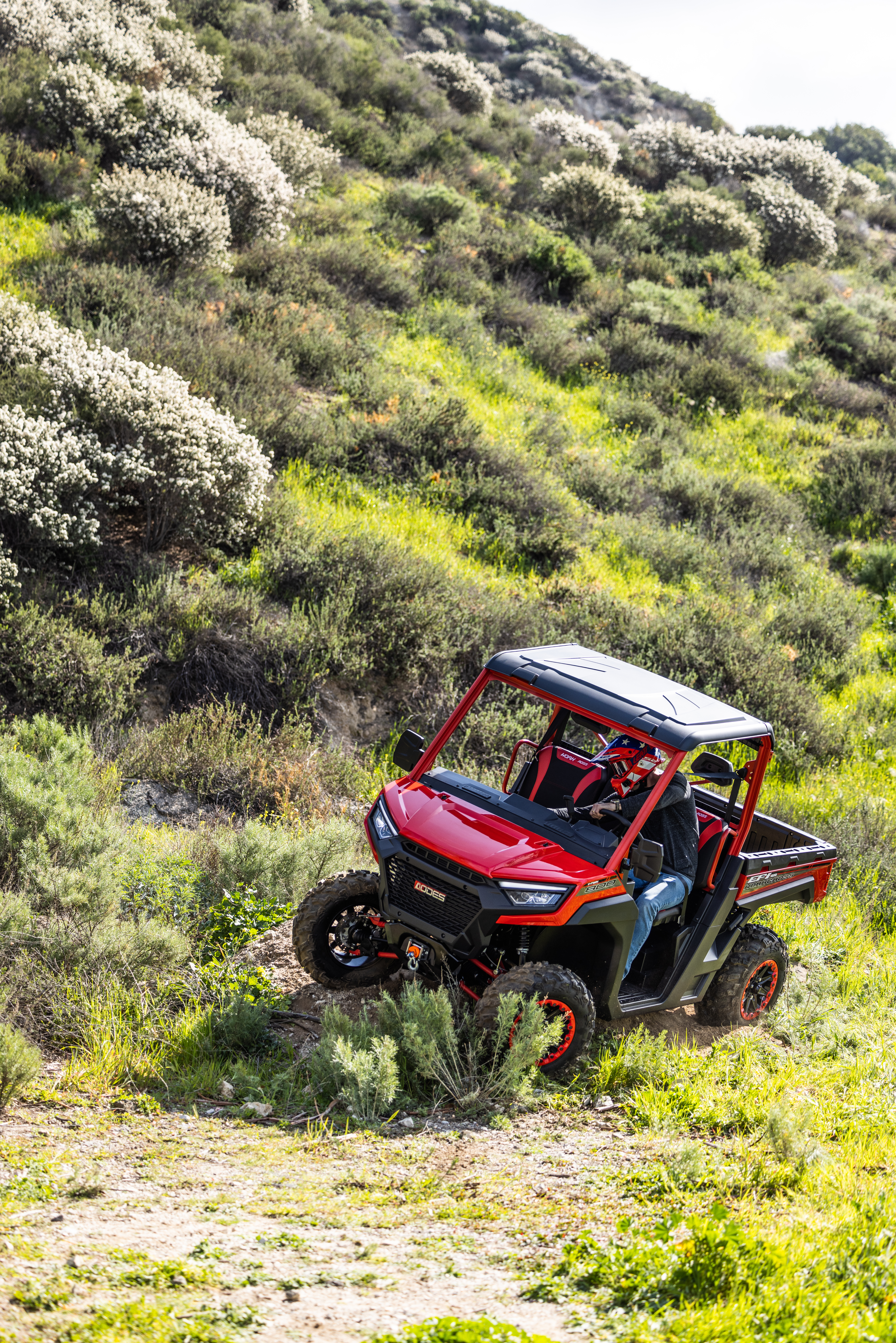 AODES WORKCROSS 1000-6 EPS MOTOVISUREIGIS Baltas